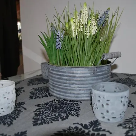 Sonniges Am Tegernsee *